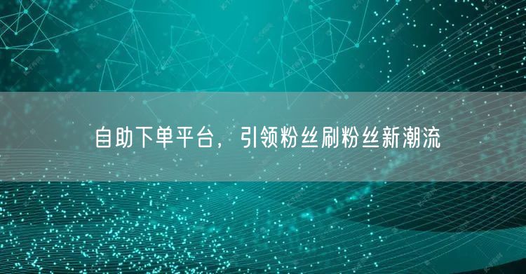 自助下单平台，引领粉丝刷粉丝新潮流