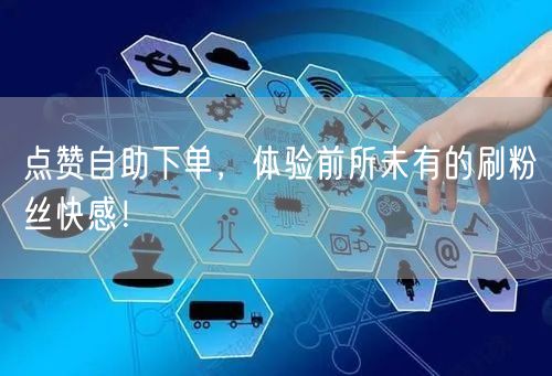 点赞自助下单，体验前所未有的刷粉丝快感！